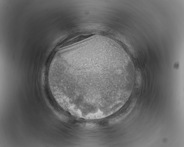 X0000116350590201001131108