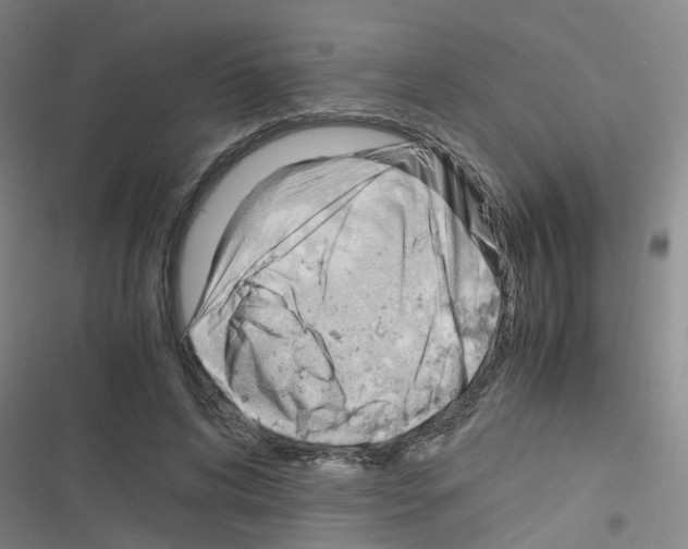 X0000116350592201001131108