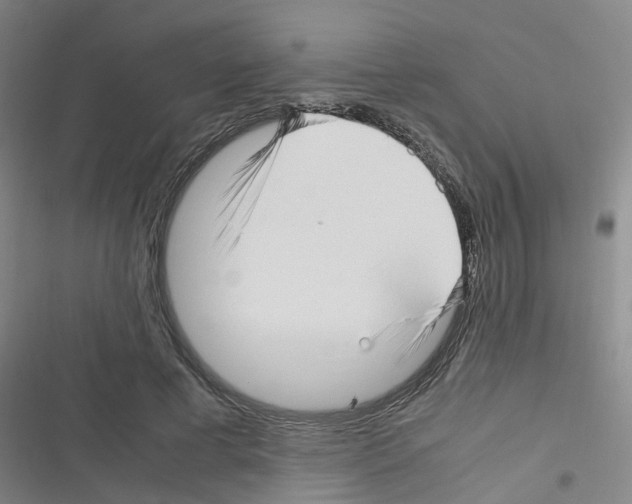X0000116350593201001131108
