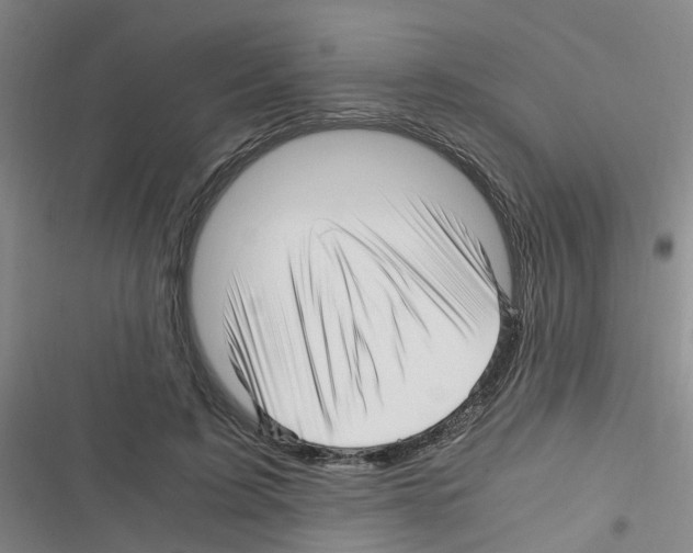 X0000116350595201001131108
