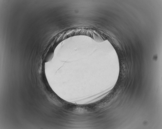 X0000116350596201001131108