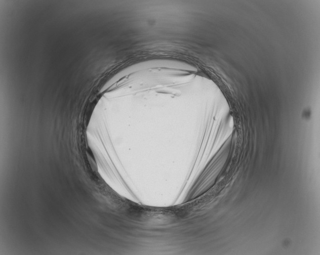 X0000116350597201001131108