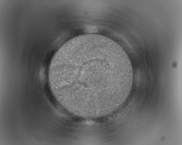 X0000116350598201001131108