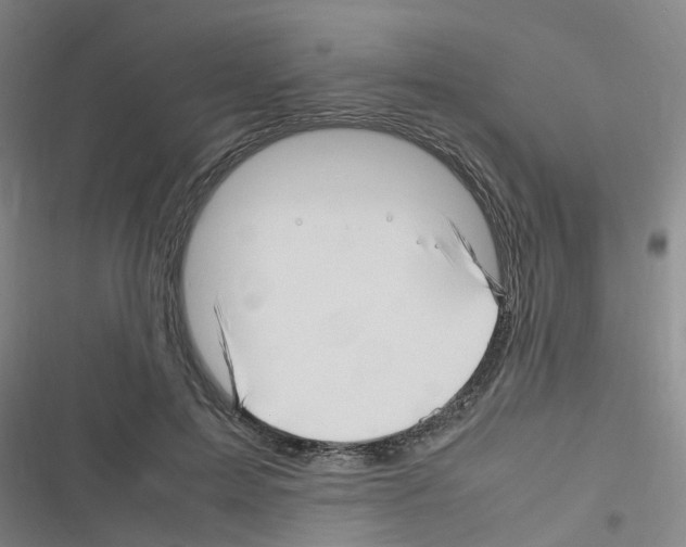 X0000116350599201001131108