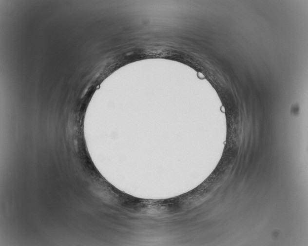 X0000116350601201001131108