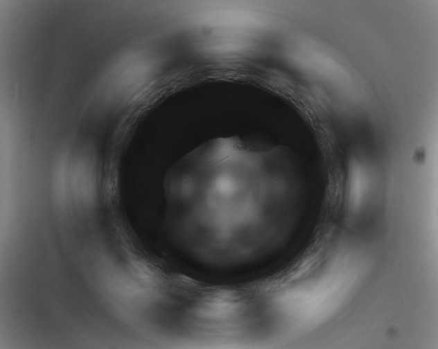 X0000116350602201001131108