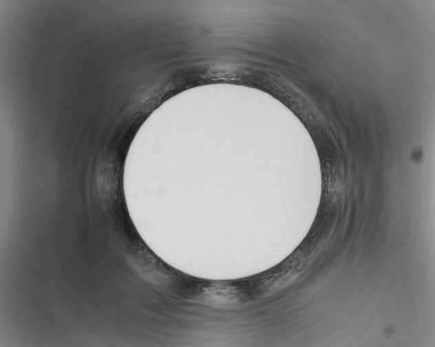 X0000116350603201001131108