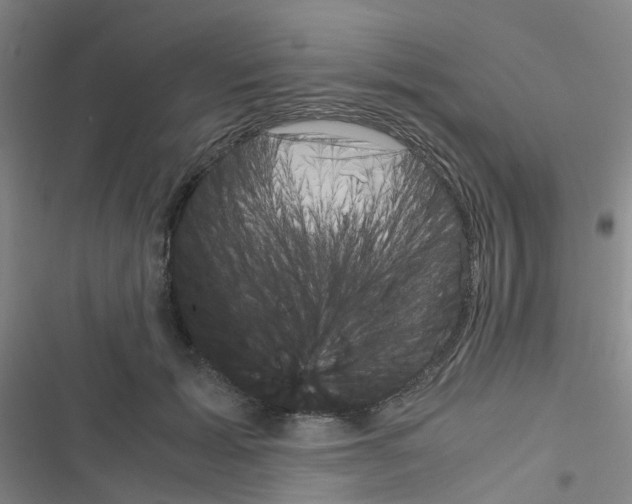 X0000116350605201001131108