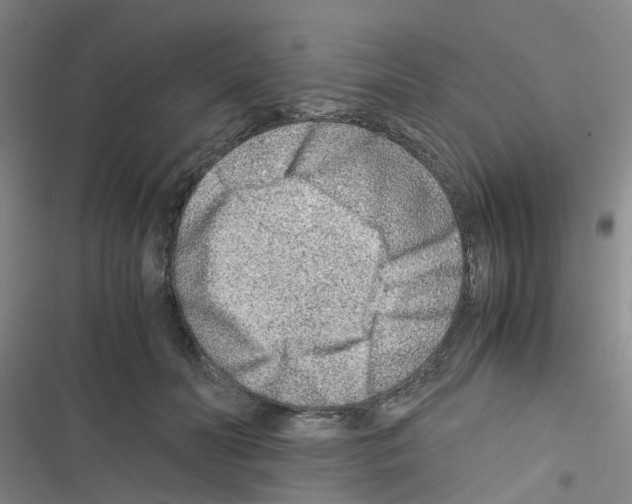 X0000116350606201001131108