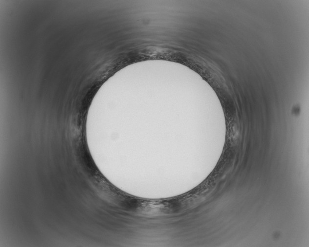 X0000116350607201001131108