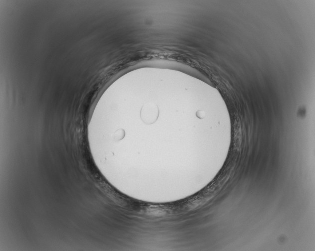 X0000116350608201001131108