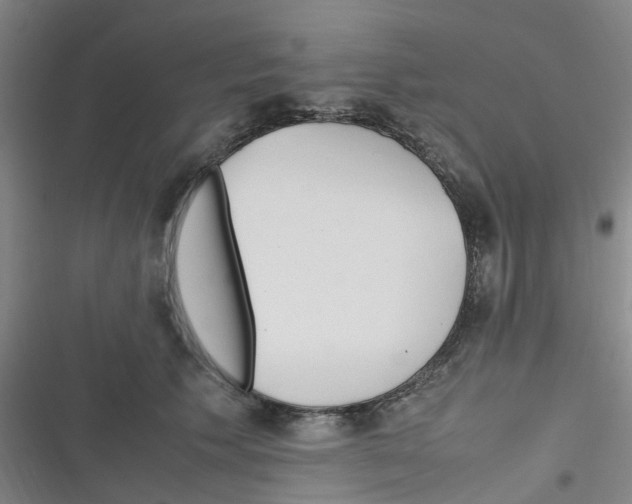 X0000116350609201001131108