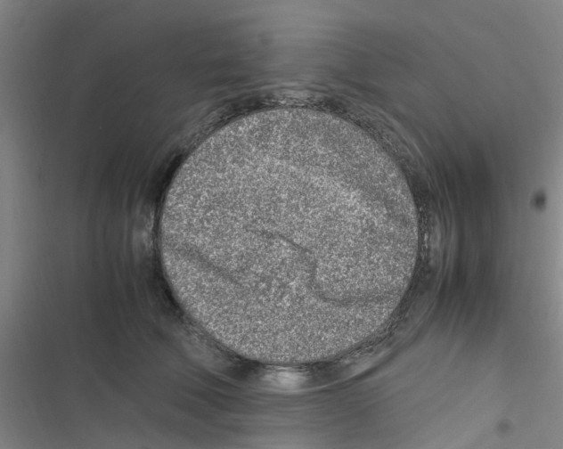 X0000116350610201001131107