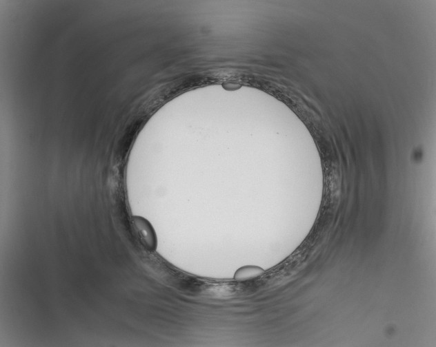 X0000116350611201001131107