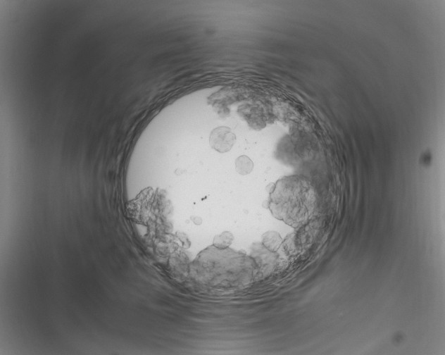 X0000116350613201001131107