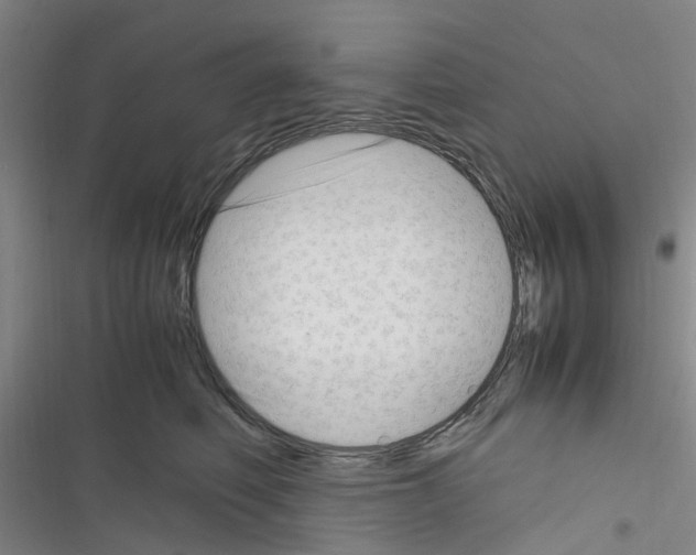 X0000116350614201001131107