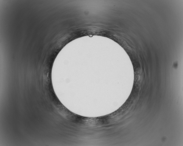 X0000116350615201001131107