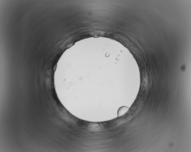 X0000116350616201001131107