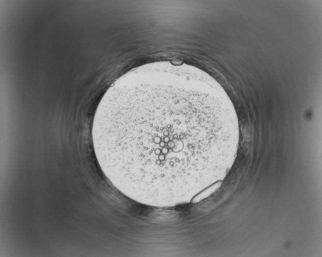 X0000116350617201001131107
