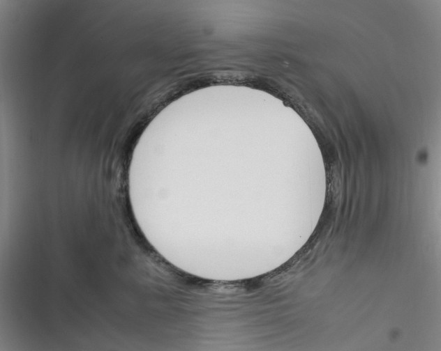 X0000116350619201001131107