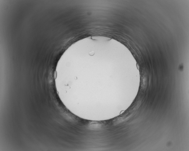 X0000116350620201001131107