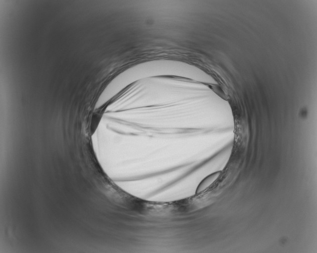 X0000116350621201001131107