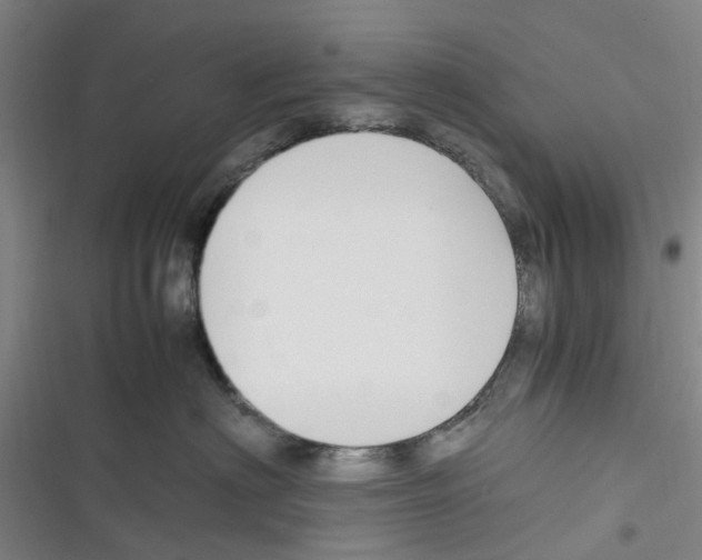 X0000116350622201001131107