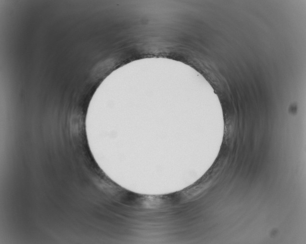 X0000116350623201001131107