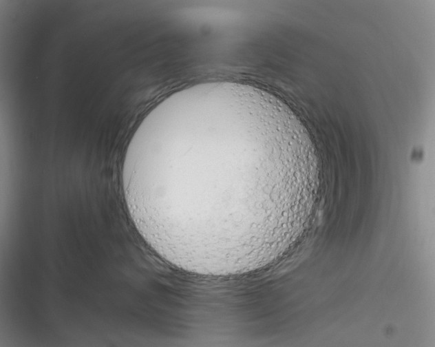 X0000116350624201001131107