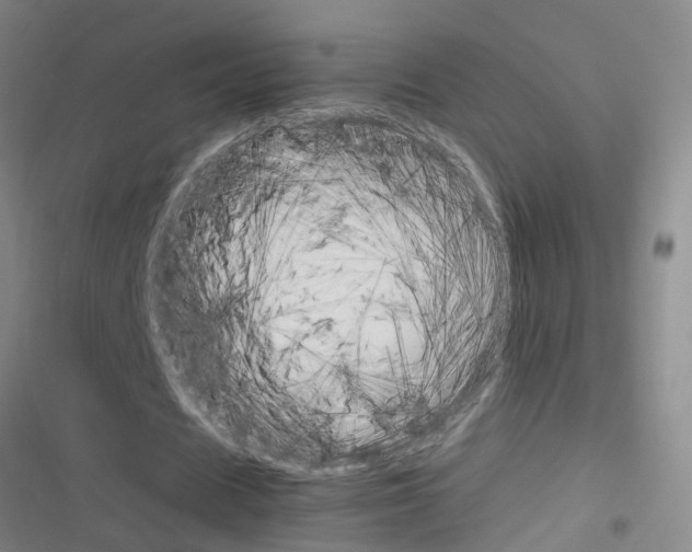 X0000116350625201001131107