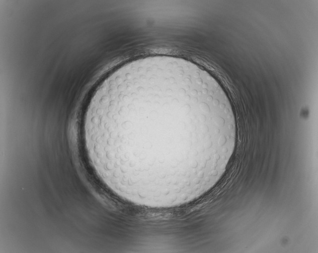 X0000116350626201001131107