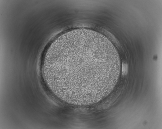 X0000116350627201001131107