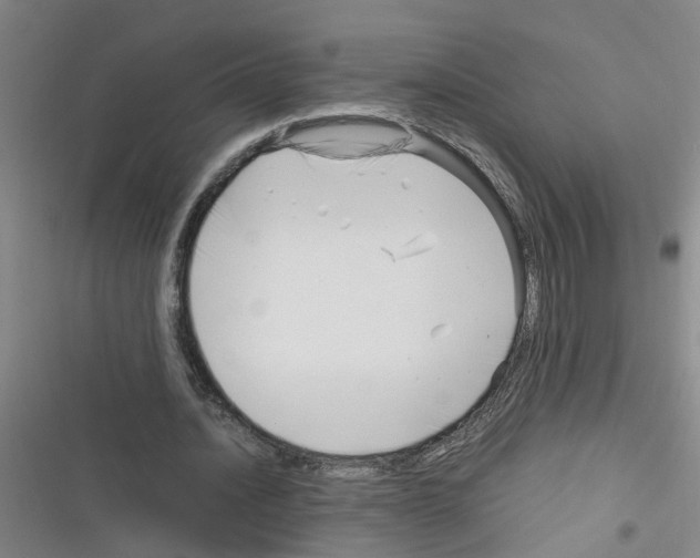 X0000116350628201001131107