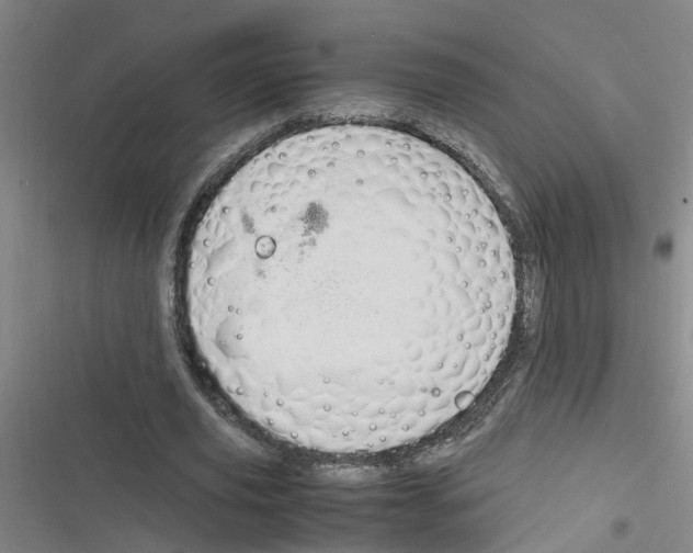 X0000116350629201001131107