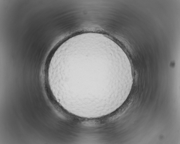 X0000116350630201001131107
