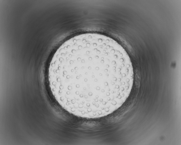 X0000116350631201001131107