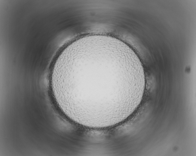X0000116350632201001131107