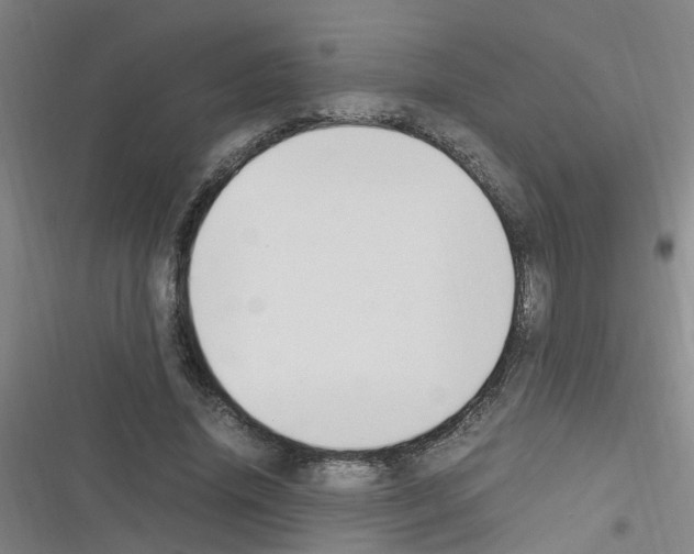 X0000116350636201001131107