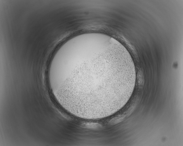 X0000116350637201001131107