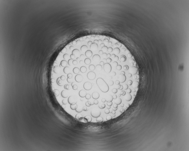 X0000116350638201001131107