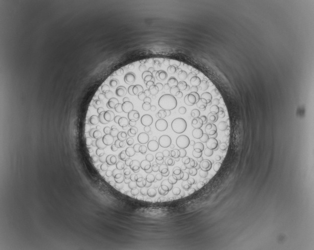 X0000116350639201001131107
