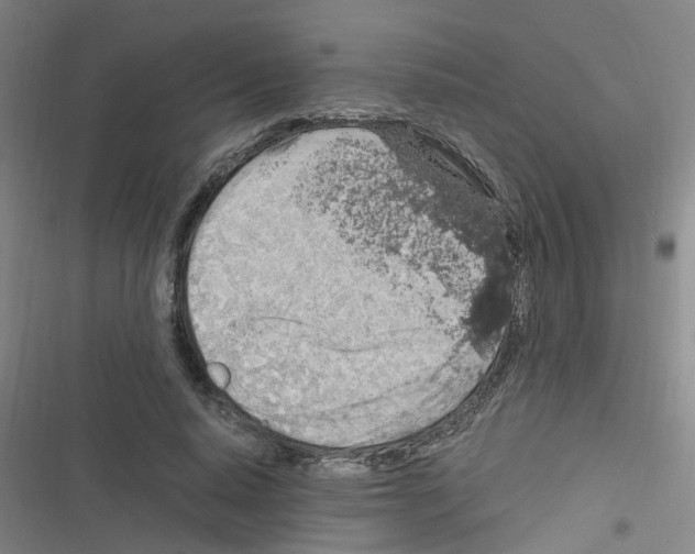 X0000116350640201001131107
