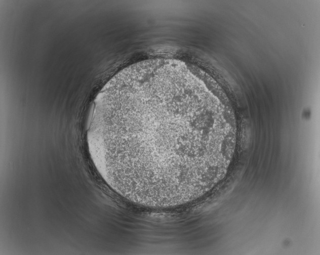 X0000116350641201001131107
