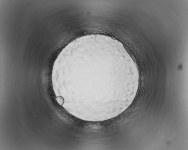 X0000116350642201001131107