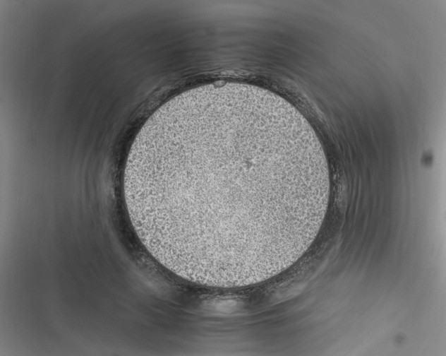 X0000116350643201001131107