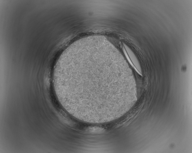 X0000116350644201001131107
