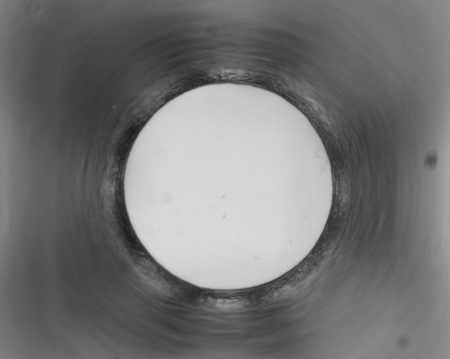 X0000116350645201001131107