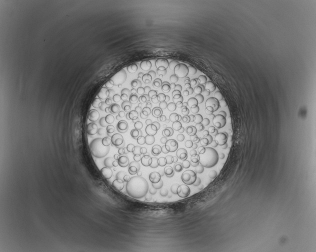 X0000116350646201001131107