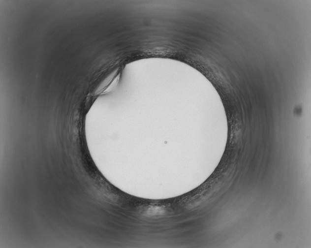 X0000116350647201001131107