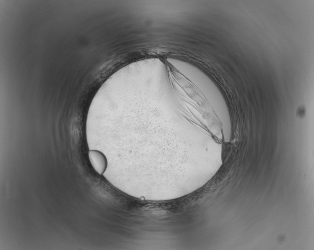 X0000116350648201001131107
